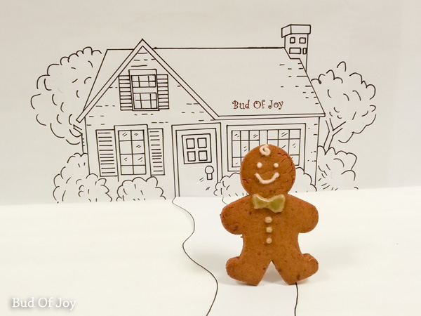 Mr Organic Gingerbread Man (a.k.a. Mr OGM) runs out of the oven!
