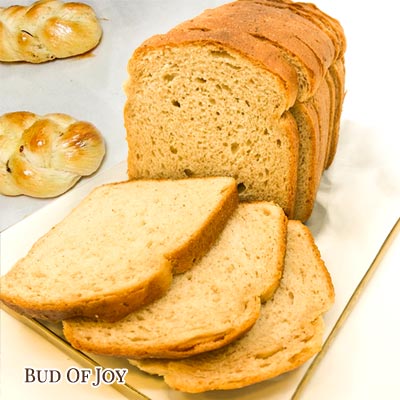 Organic Soft Pumpkin Loaf and Braided Buns (Vegan)