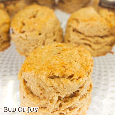 Scone Delights - Mastering the Art of Texture (NEW)