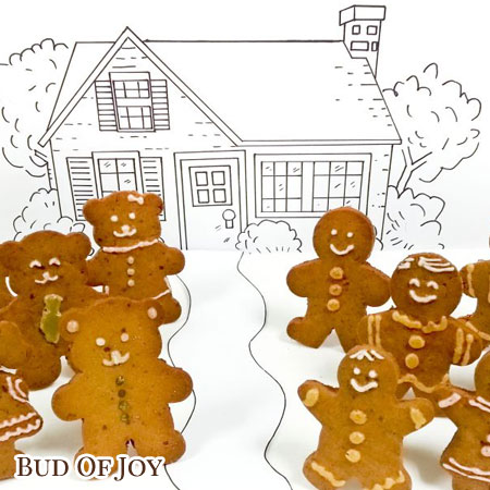 Gingerbread Wonderland - Bake, Ice, and Gift in a Jar