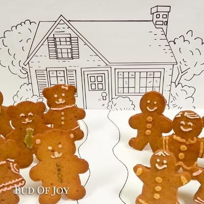 Adult-Child Workshop: Organic Gingerbread and Decor (Vegan)