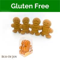 Organic Gluten-Free and Vegan Gingerbread Set (4pc original without decor)