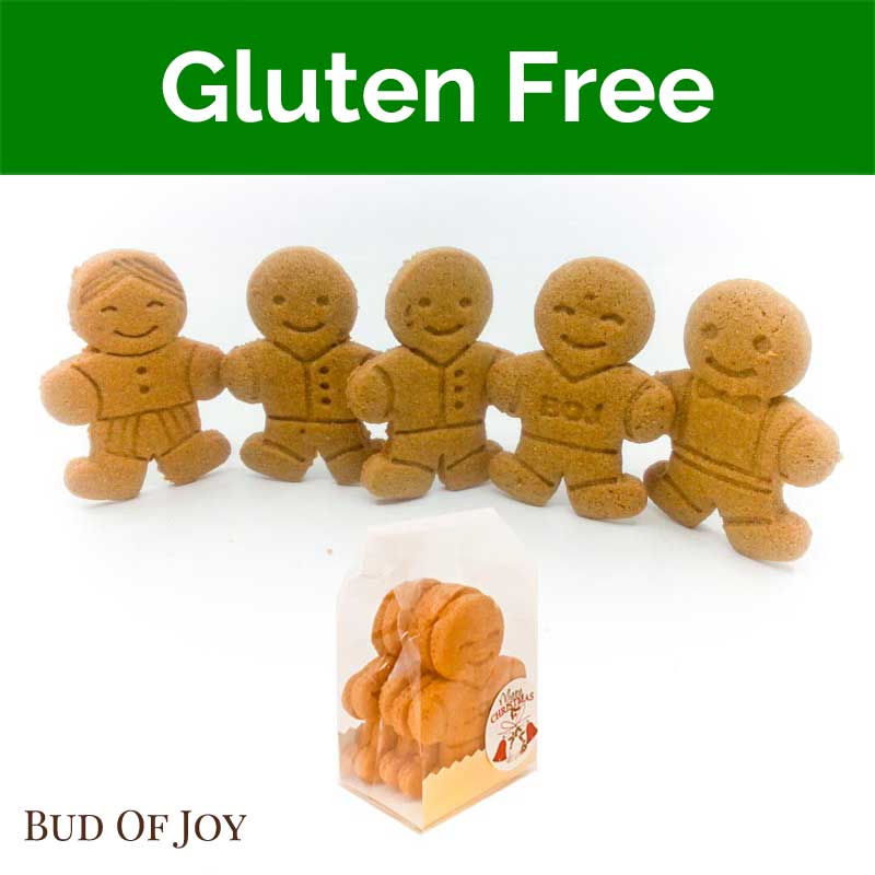 Organic Gluten-Free and Vegan Gingerbread Set (5pc original without decor)