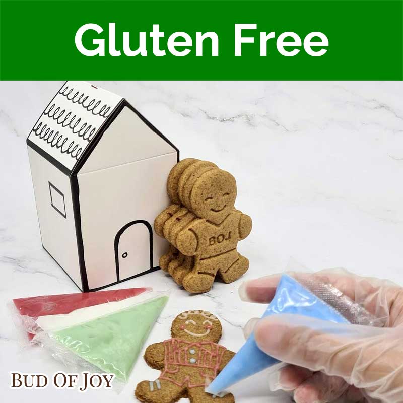 Organic Gluten-Free, Vegan Gingerbread Cookies Decor Kit (5pc)