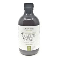 Olive Leaf Extract with probiotics