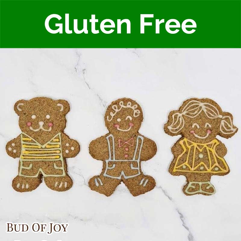 Organic Gluten-Free, Vegan Gingerbread Man