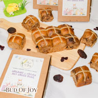 Small Organic Vegan Hot Cross Buns (3 boxes)