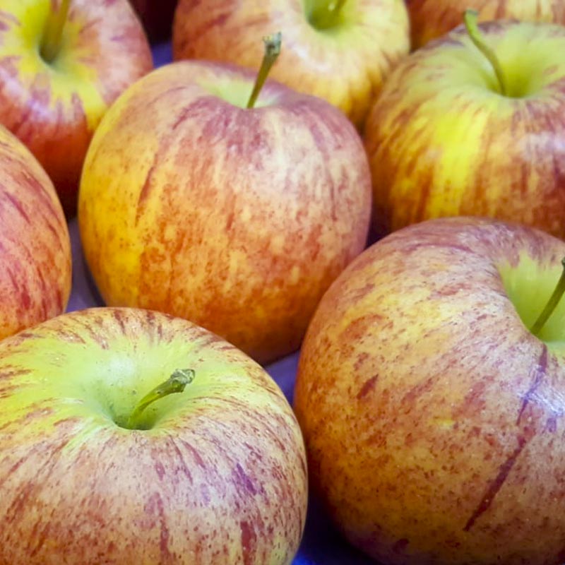 Organic Red Apples (6pcs)