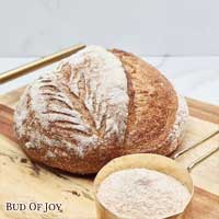 Organic Sourdough Boule - Plain