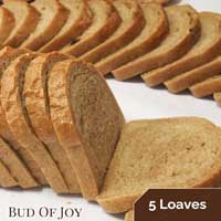 Organic 100% Wholemeal Bread (5x)