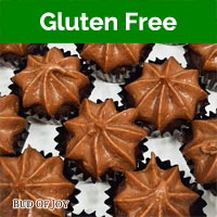 Organic Gluten-Free Vegan Chocolate Cupcakes (32 mini cupcakes packed snugly in 2 boxes)
